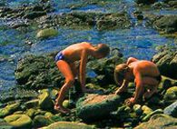 Pêche à pied dans les alentours Pêche à pied dans les alentours
